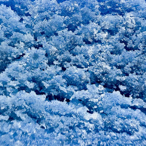 Résine THCX Blue Frozen Piatella